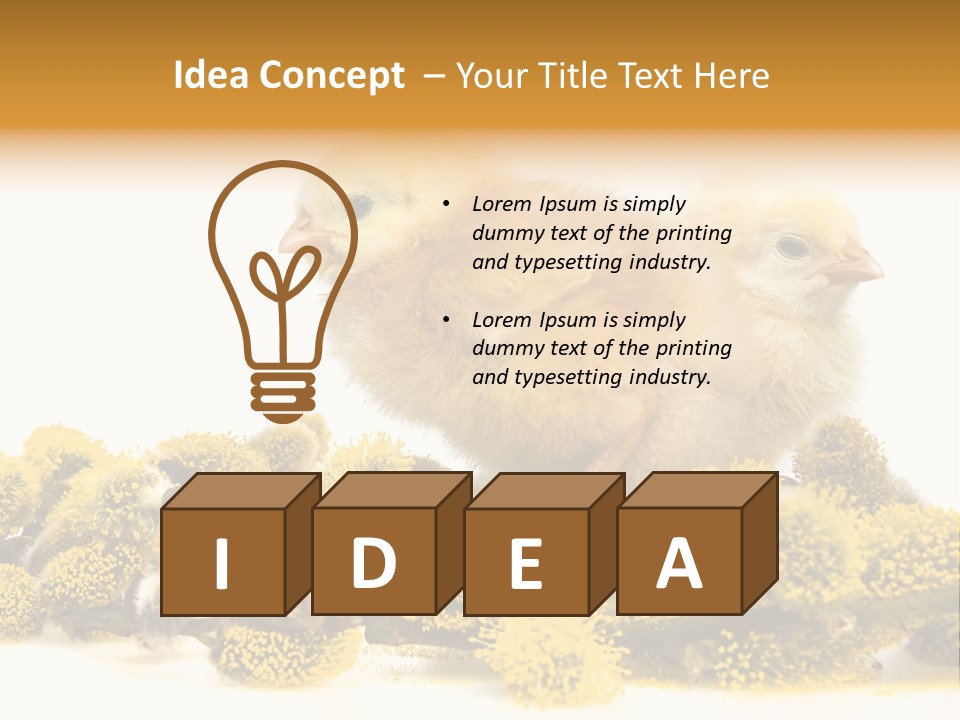 Background Chicken Orange PowerPoint Template