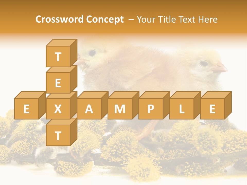 Background Chicken Orange PowerPoint Template