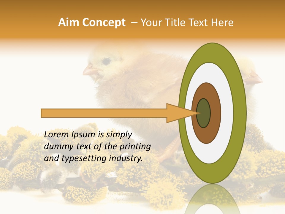 Background Chicken Orange PowerPoint Template