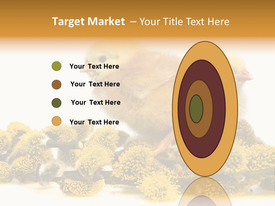 Background Chicken Orange PowerPoint Template