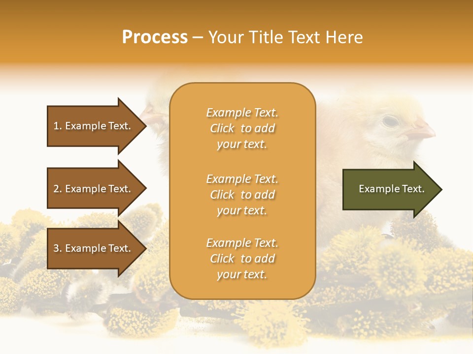 Background Chicken Orange PowerPoint Template