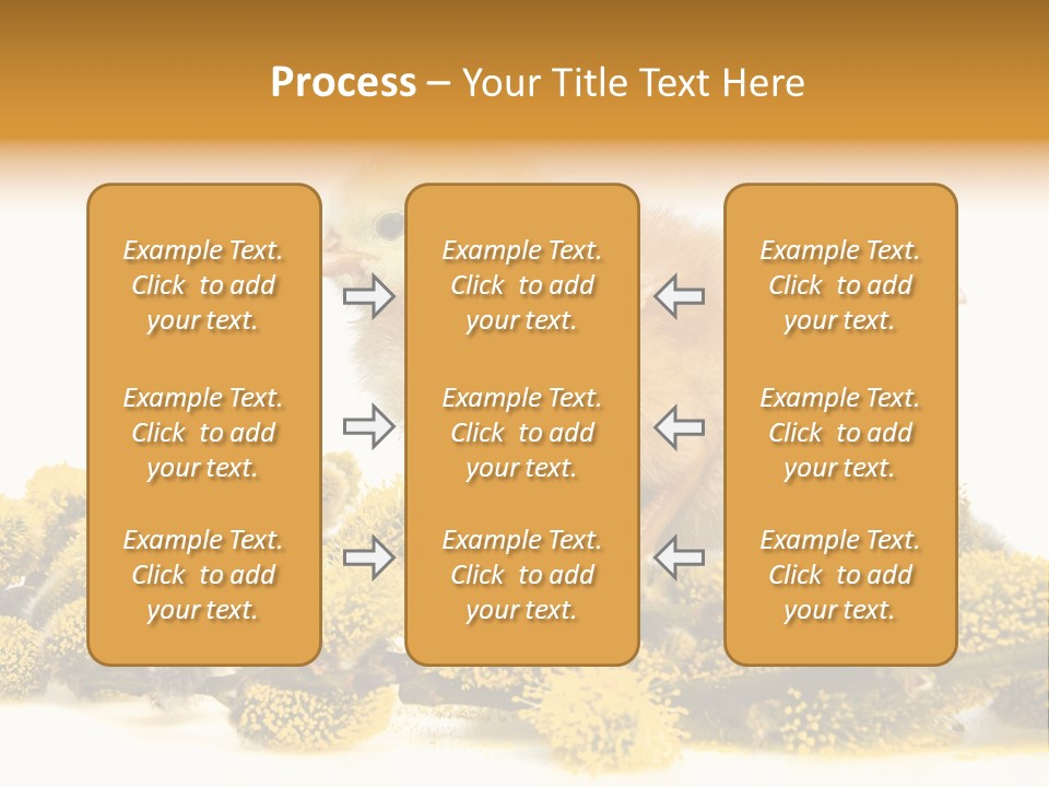 Background Chicken Orange PowerPoint Template