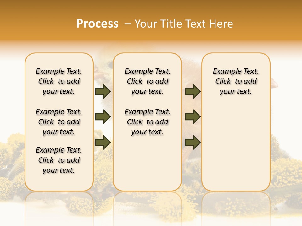 Background Chicken Orange PowerPoint Template