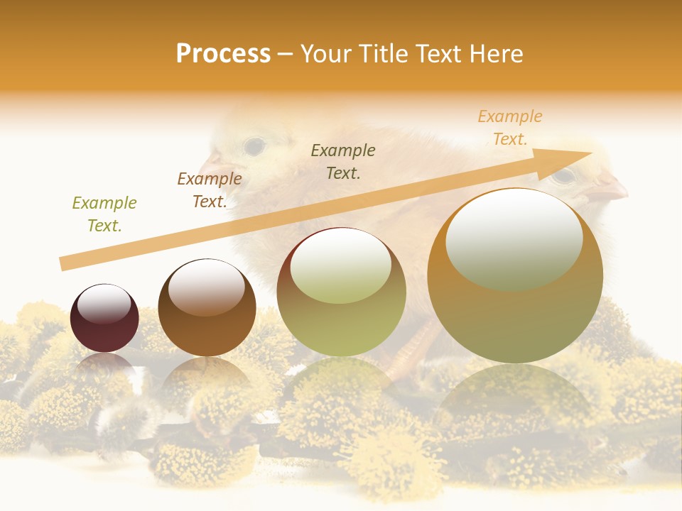 Background Chicken Orange PowerPoint Template