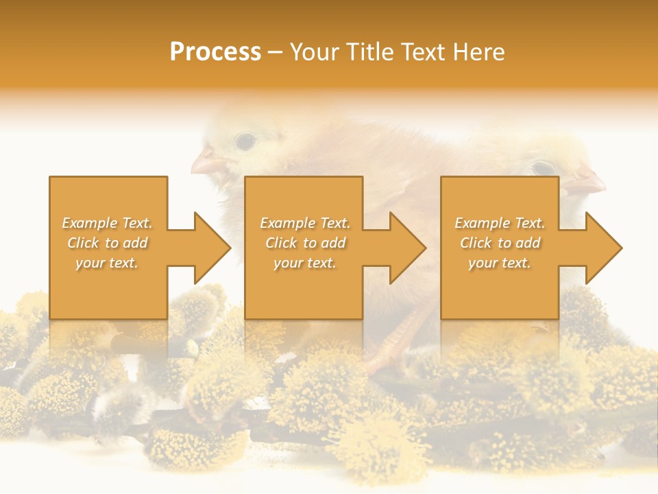 Background Chicken Orange PowerPoint Template