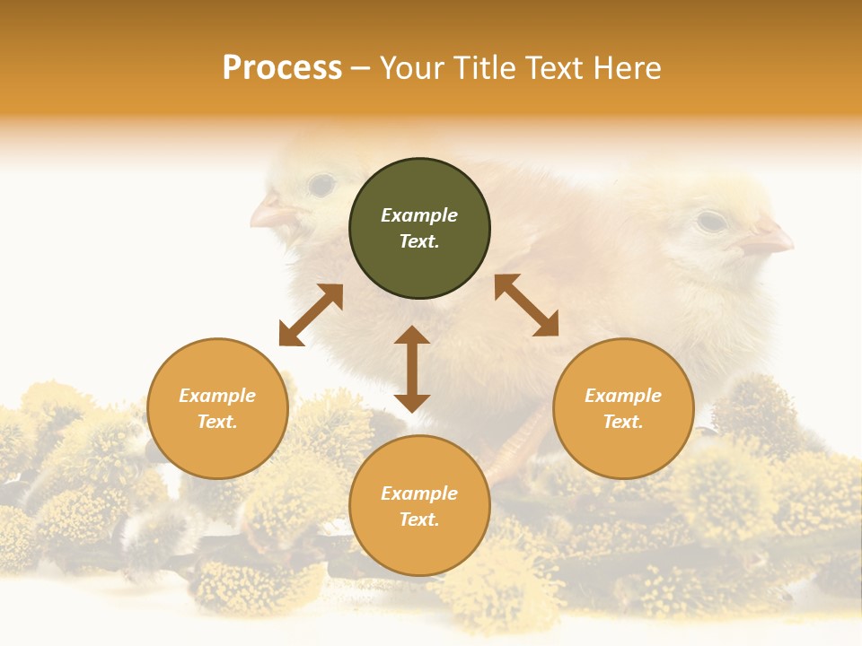 Background Chicken Orange PowerPoint Template