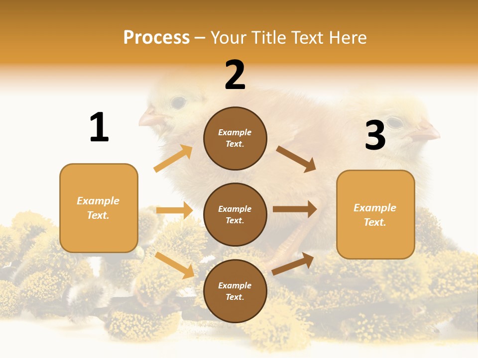 Background Chicken Orange PowerPoint Template