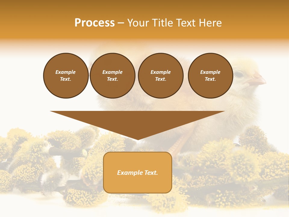 Background Chicken Orange PowerPoint Template