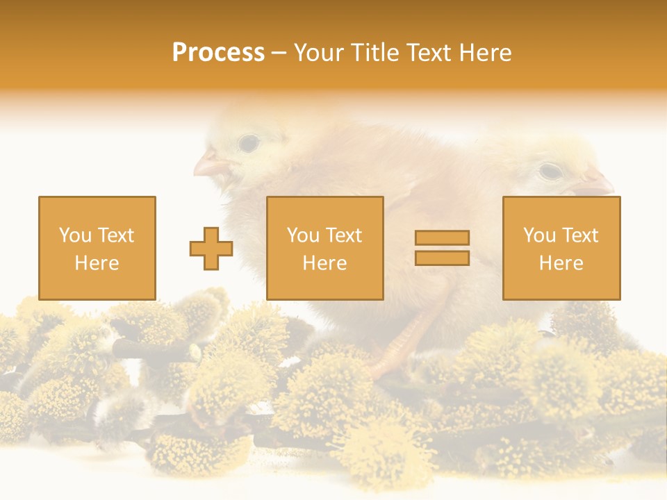 Background Chicken Orange PowerPoint Template