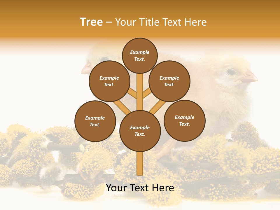 Background Chicken Orange PowerPoint Template