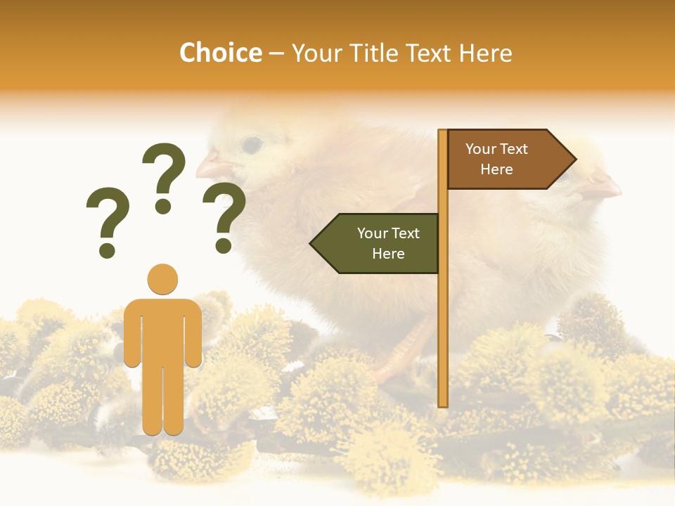 Background Chicken Orange PowerPoint Template