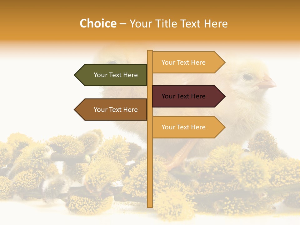Background Chicken Orange PowerPoint Template
