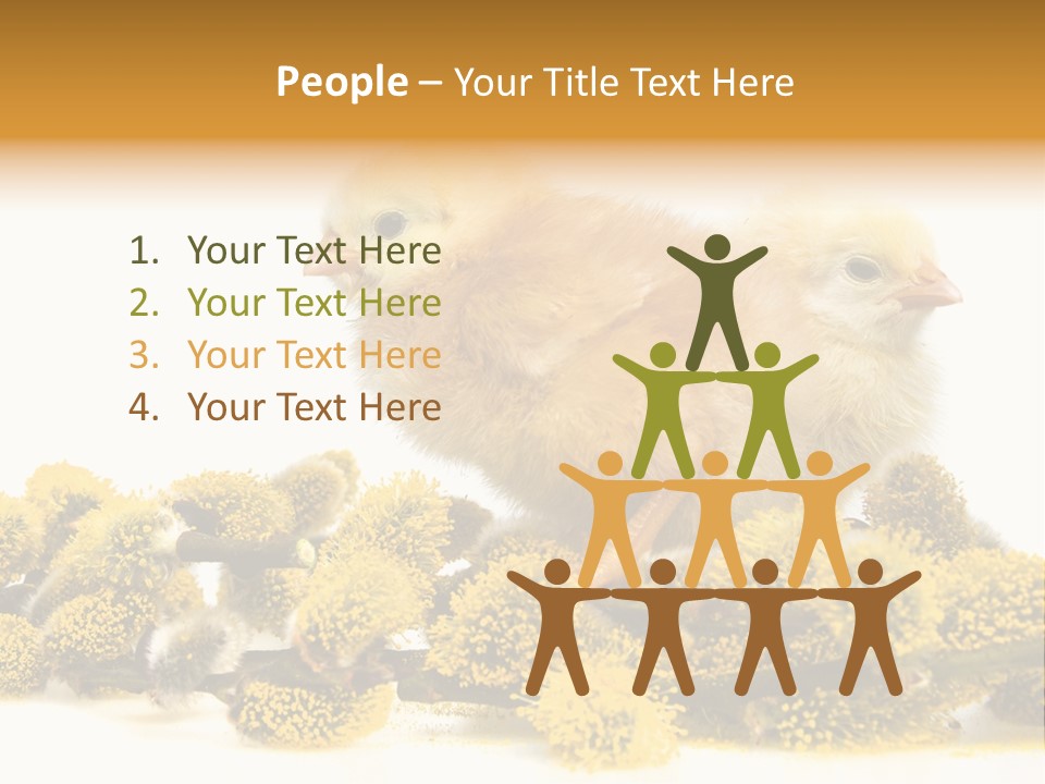 Background Chicken Orange PowerPoint Template