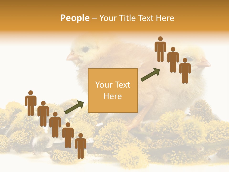 Background Chicken Orange PowerPoint Template