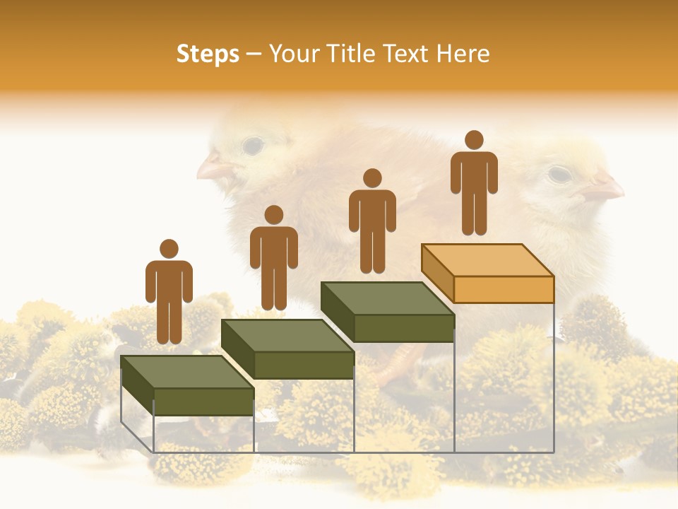 Background Chicken Orange PowerPoint Template