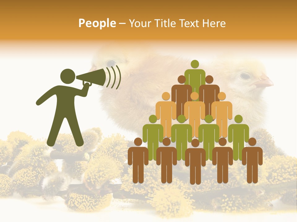 Background Chicken Orange PowerPoint Template