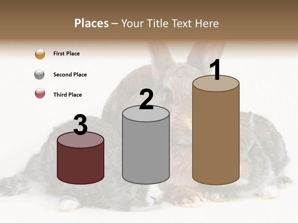 Springtime Sweet Seasonal PowerPoint Template