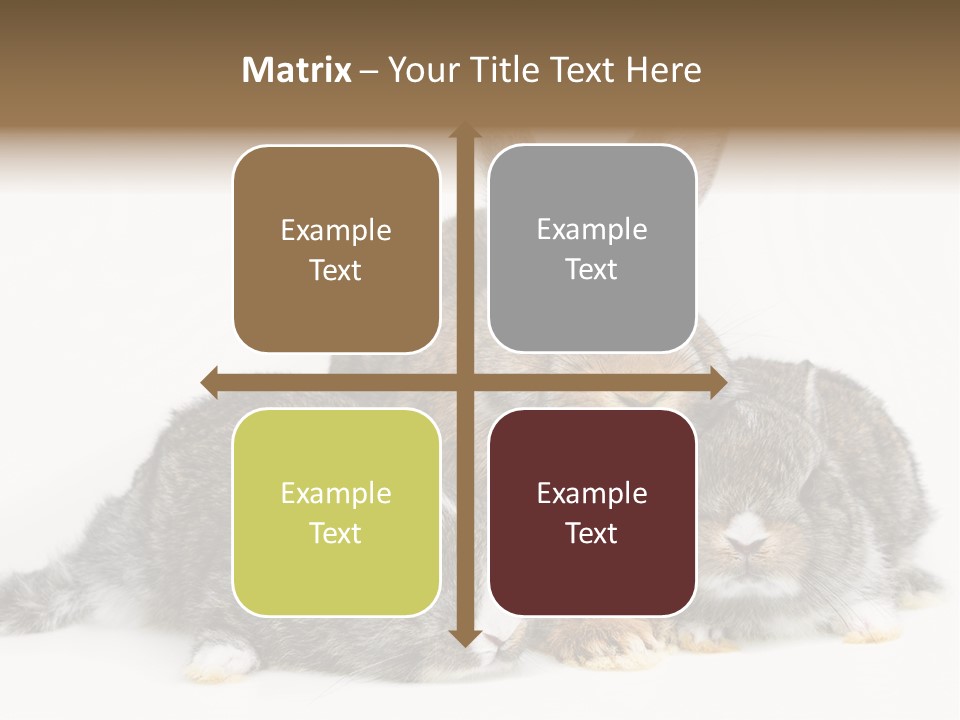 Springtime Sweet Seasonal PowerPoint Template