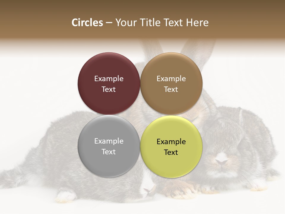 Springtime Sweet Seasonal PowerPoint Template