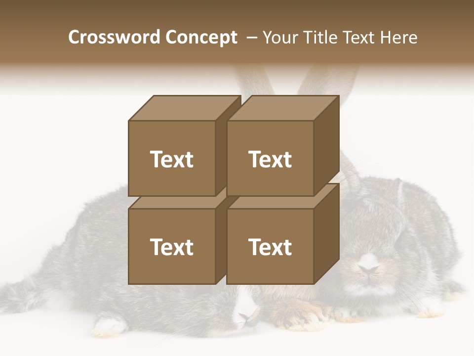 Springtime Sweet Seasonal PowerPoint Template