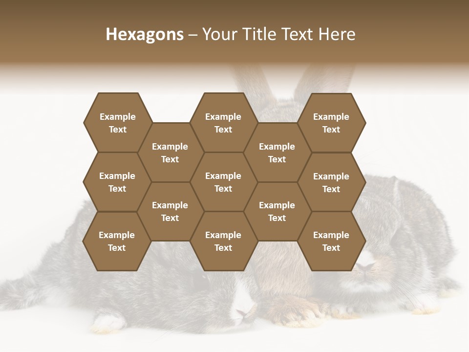 Springtime Sweet Seasonal PowerPoint Template