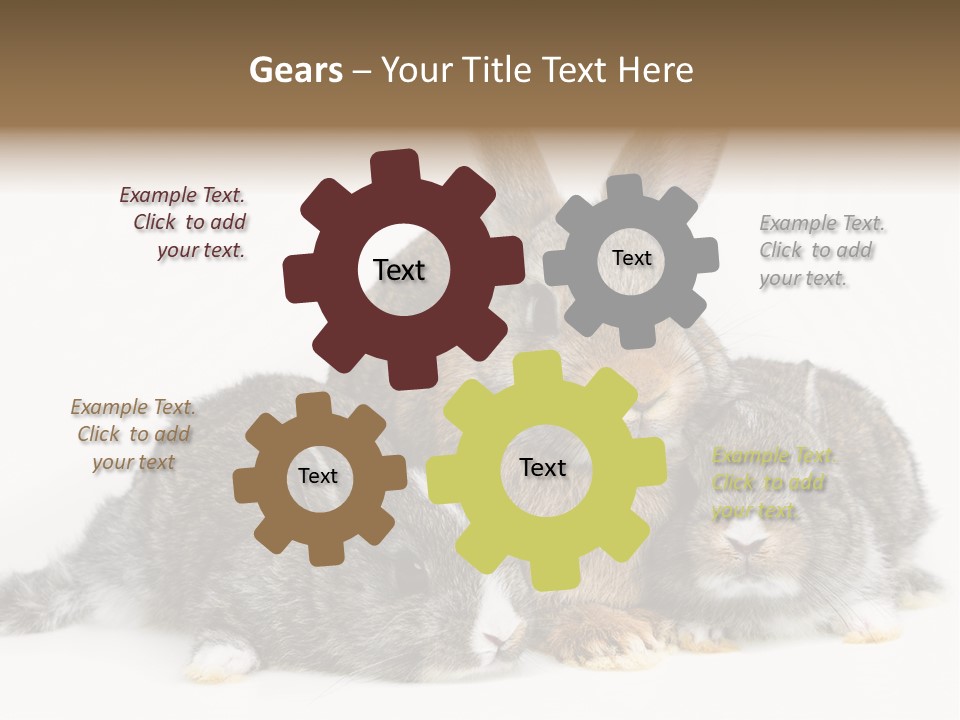 Springtime Sweet Seasonal PowerPoint Template