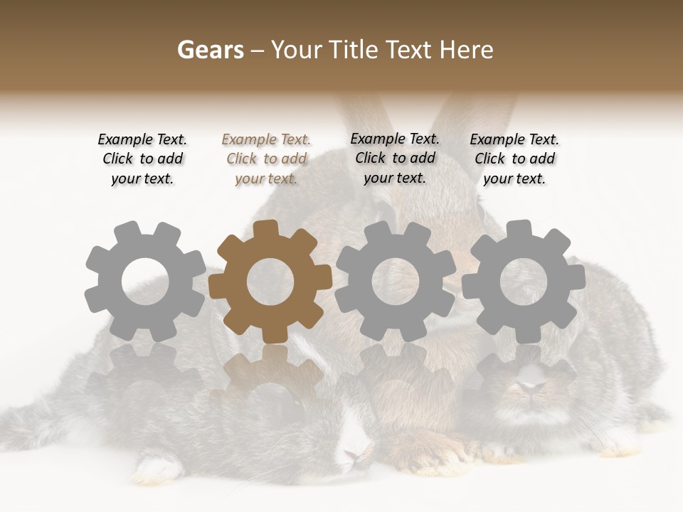 Springtime Sweet Seasonal PowerPoint Template