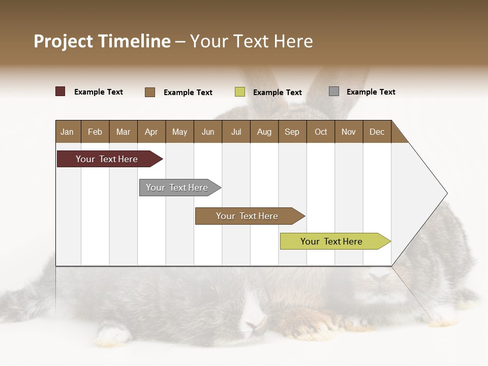 Springtime Sweet Seasonal PowerPoint Template