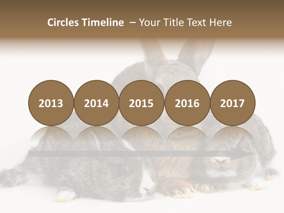 Springtime Sweet Seasonal PowerPoint Template