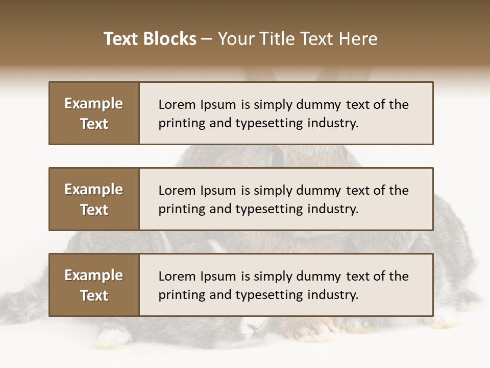 Springtime Sweet Seasonal PowerPoint Template