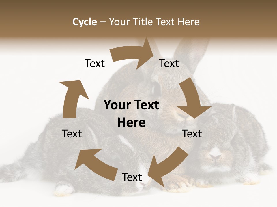 Springtime Sweet Seasonal PowerPoint Template