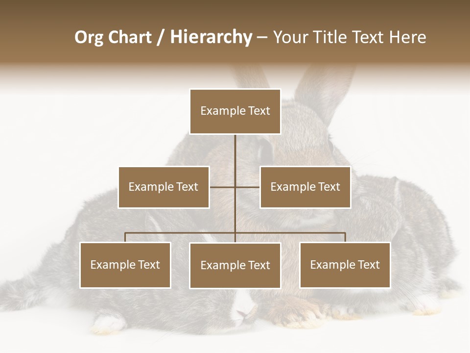 Springtime Sweet Seasonal PowerPoint Template