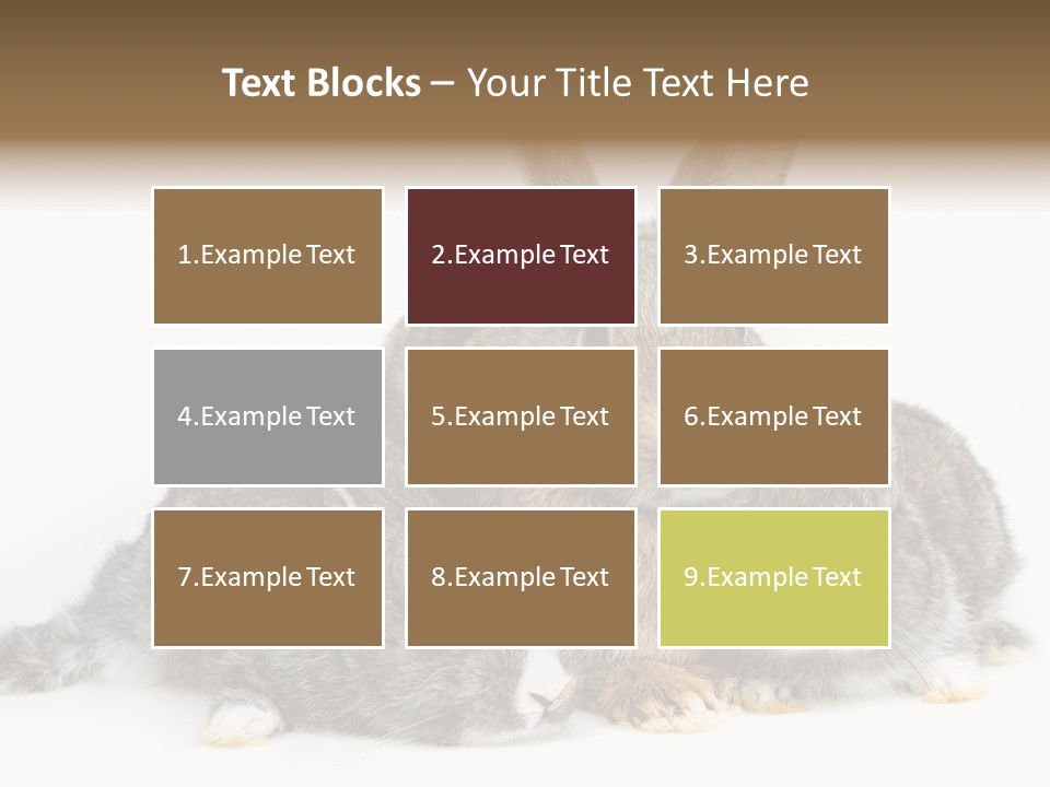 Springtime Sweet Seasonal PowerPoint Template