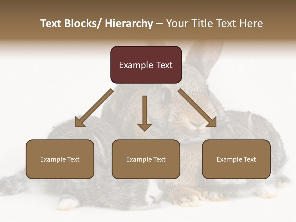 Springtime Sweet Seasonal PowerPoint Template