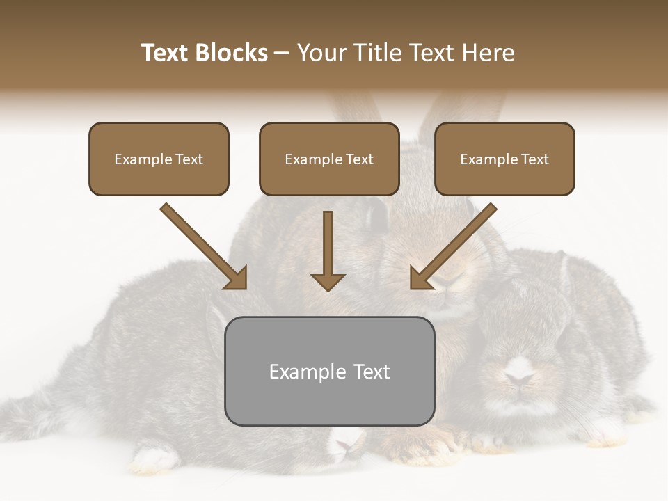 Springtime Sweet Seasonal PowerPoint Template