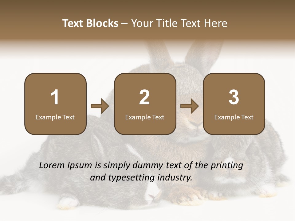 Springtime Sweet Seasonal PowerPoint Template