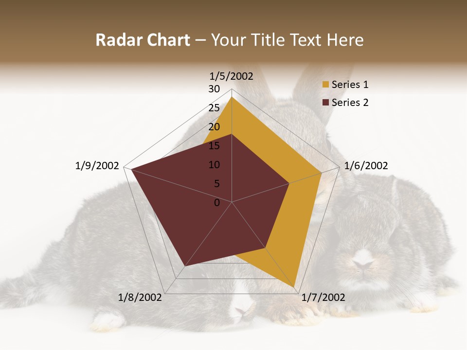 Springtime Sweet Seasonal PowerPoint Template