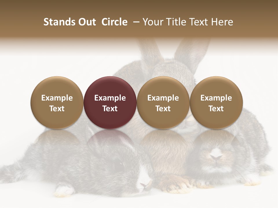 Springtime Sweet Seasonal PowerPoint Template