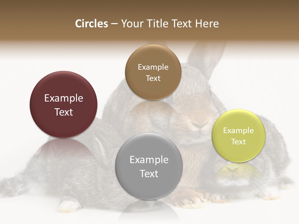 Springtime Sweet Seasonal PowerPoint Template