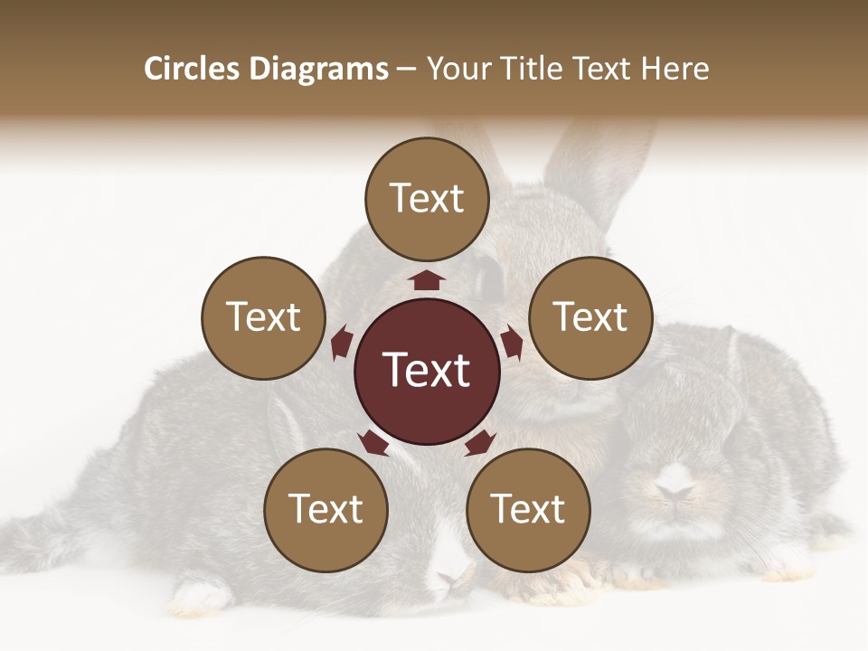 Springtime Sweet Seasonal PowerPoint Template