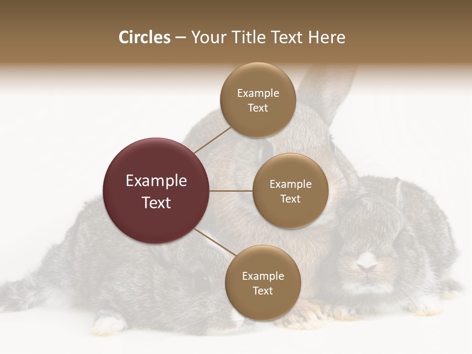 Springtime Sweet Seasonal PowerPoint Template