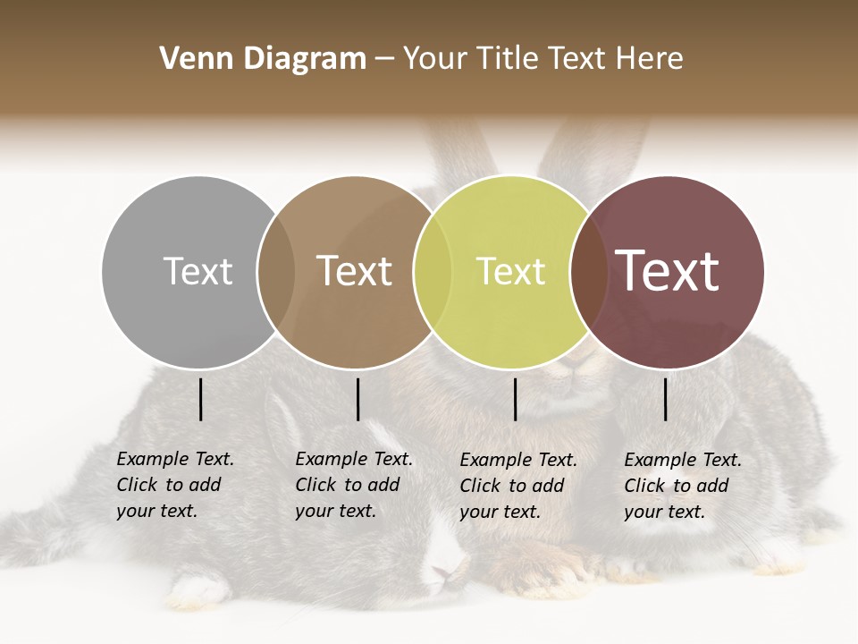 Springtime Sweet Seasonal PowerPoint Template