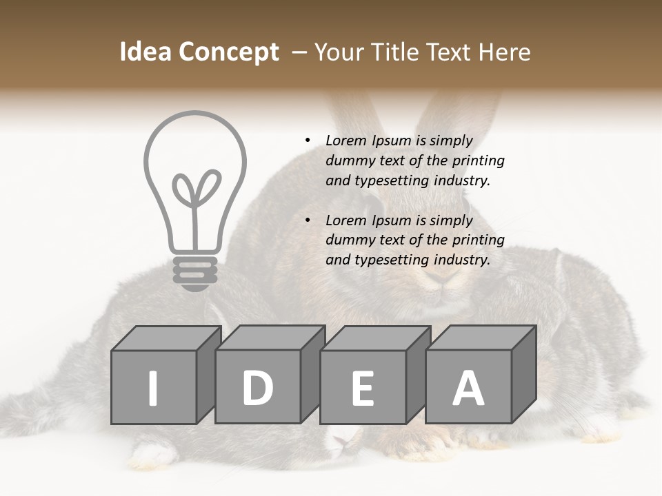 Springtime Sweet Seasonal PowerPoint Template