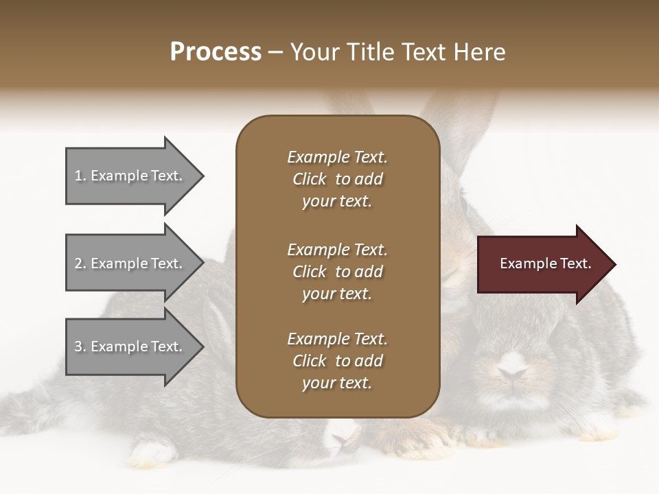 Springtime Sweet Seasonal PowerPoint Template