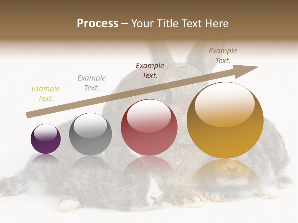 Springtime Sweet Seasonal PowerPoint Template