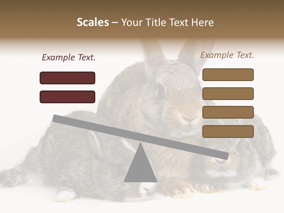 Springtime Sweet Seasonal PowerPoint Template