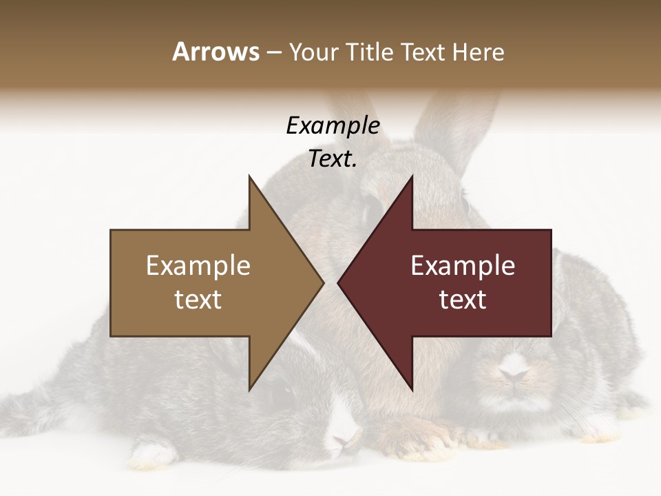 Springtime Sweet Seasonal PowerPoint Template