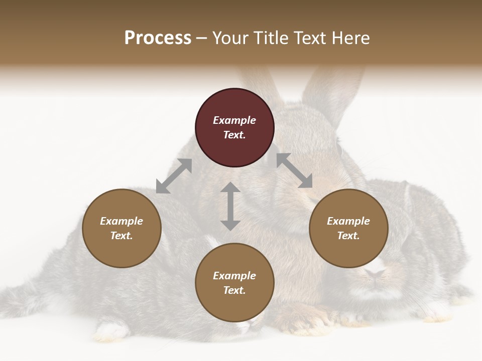 Springtime Sweet Seasonal PowerPoint Template