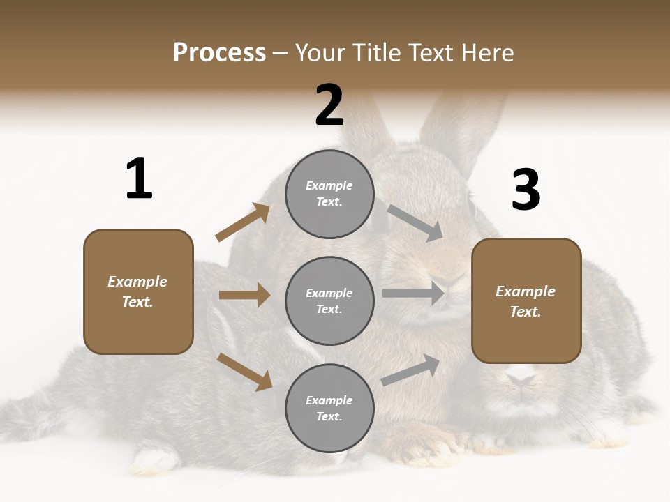 Springtime Sweet Seasonal PowerPoint Template