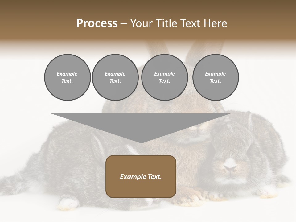 Springtime Sweet Seasonal PowerPoint Template